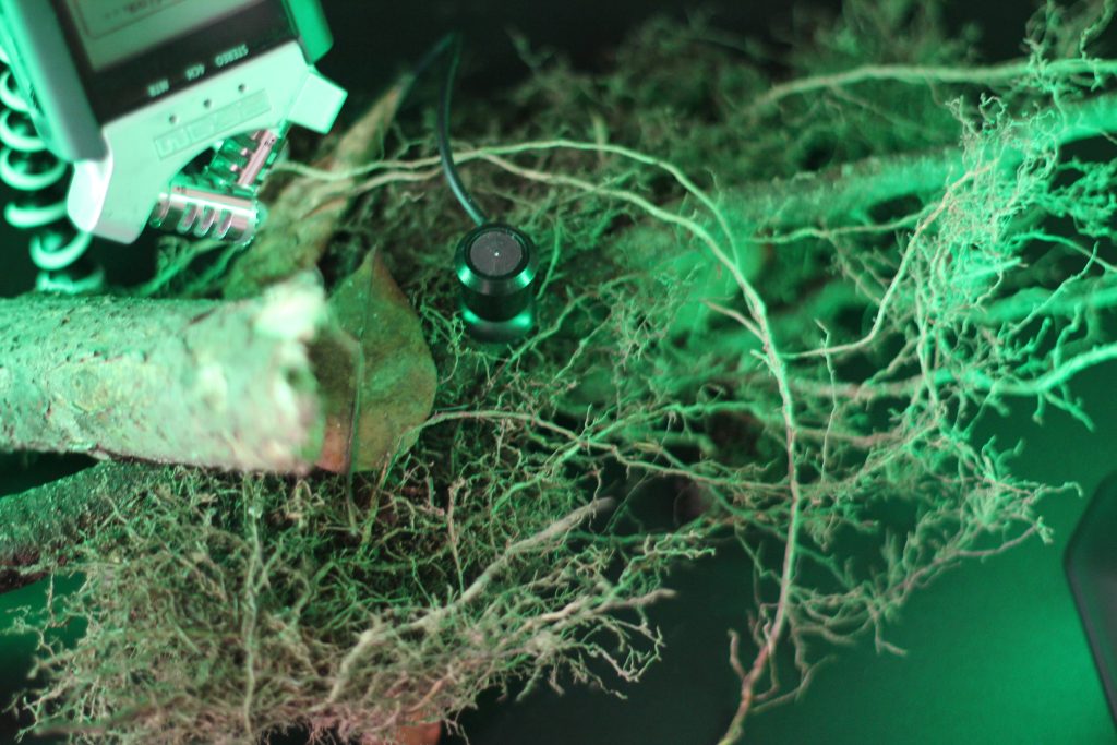 Dźwięki z&nbsp;odzysku